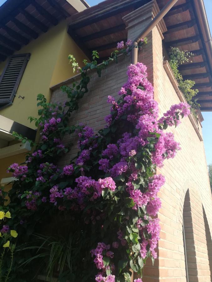 Casolare Isabella "Il Rifugio Dei Vinili" And Alice'S Room Ponsacco Exteriör bild